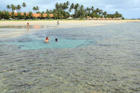 Casa Em Serrambi Com Piscina E Terraco Amplo Villa Porto de Galinhas Bagian luar foto